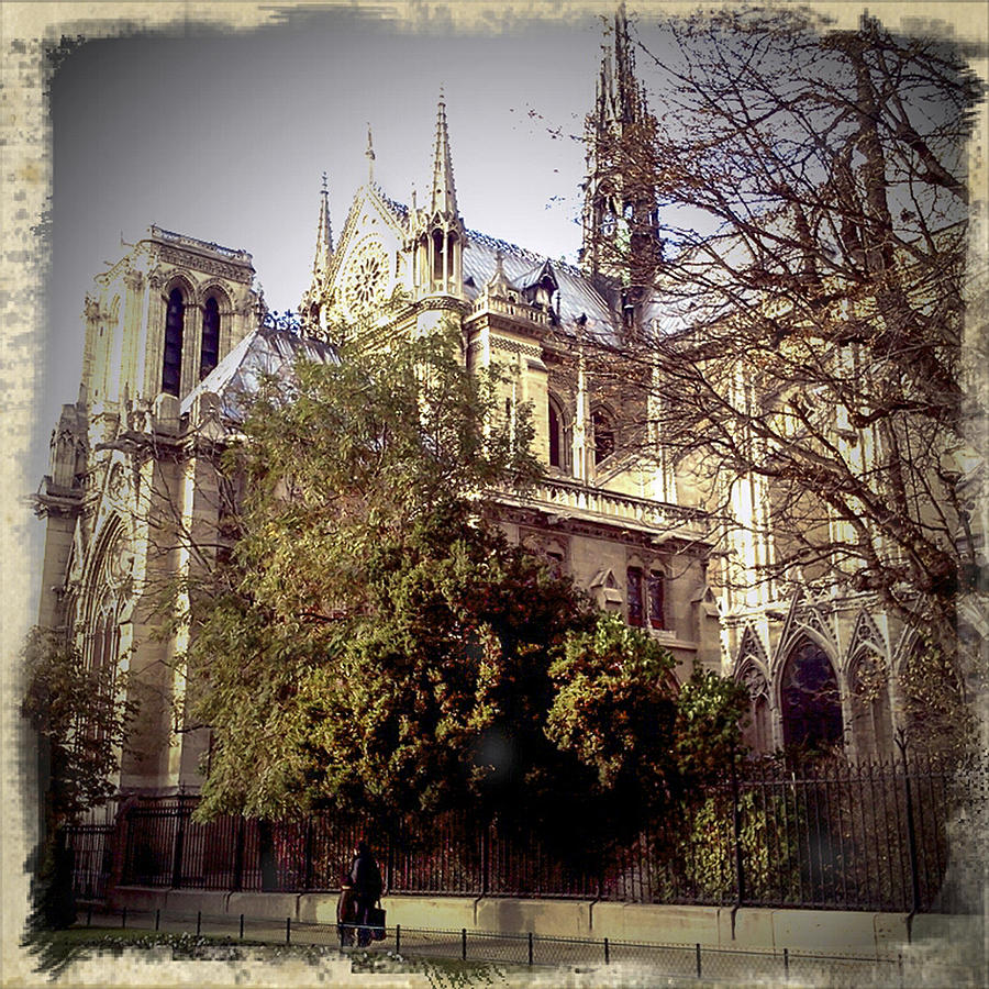 Notre Dame Vintage Photograph by Glenn DiPaola