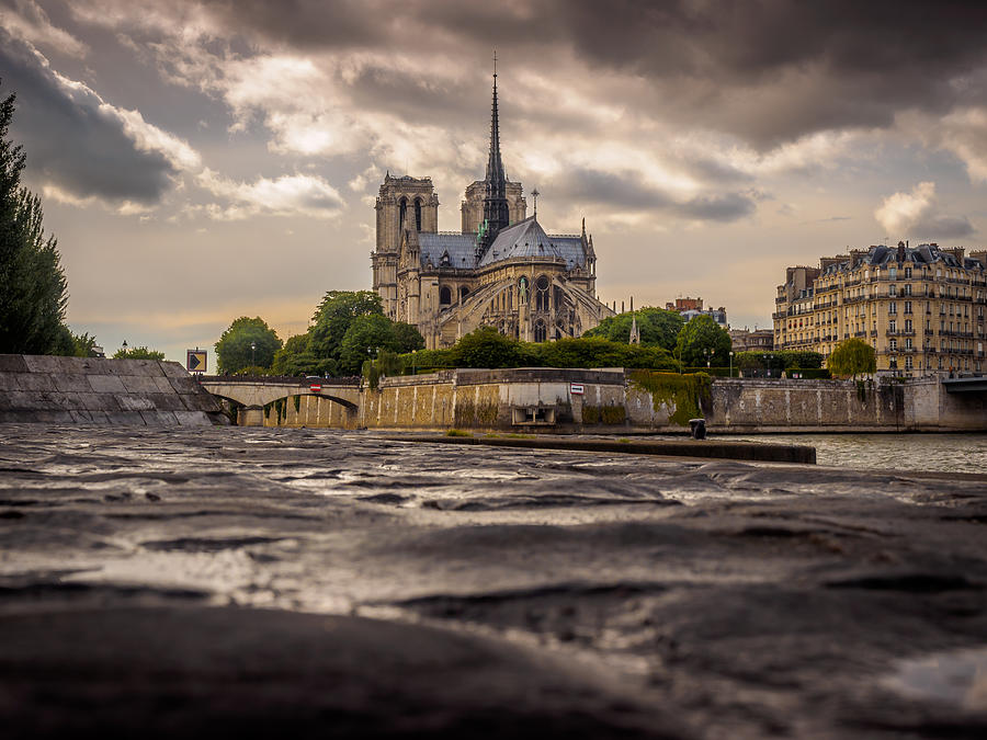 Notre Dame Cathedral #3 Photograph by Mark Llewellyn