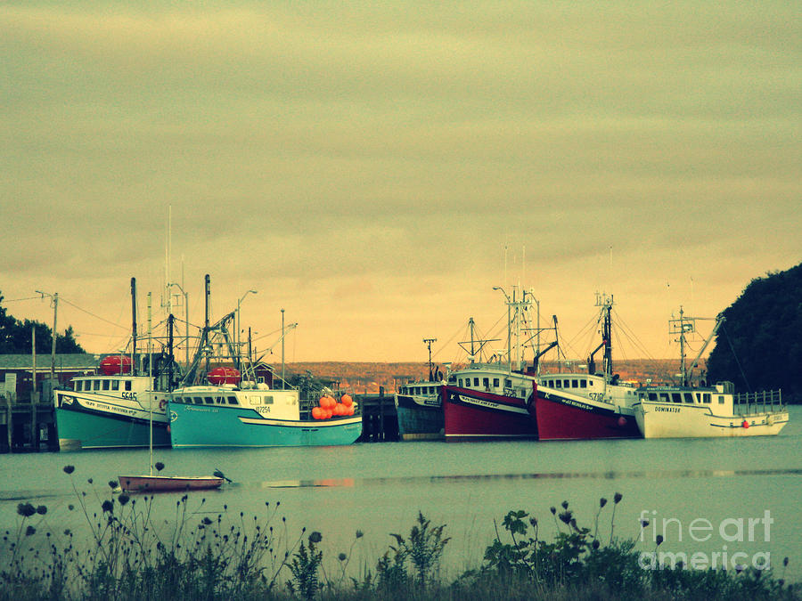 Boat Photograph - Nova Scotia Fishing Boats by Patricia Januszkiewicz