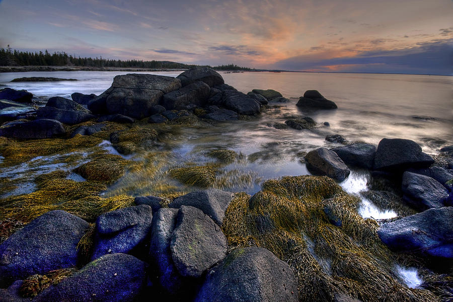 Nova Scotian Sunrise Photograph by Sue Cullumber