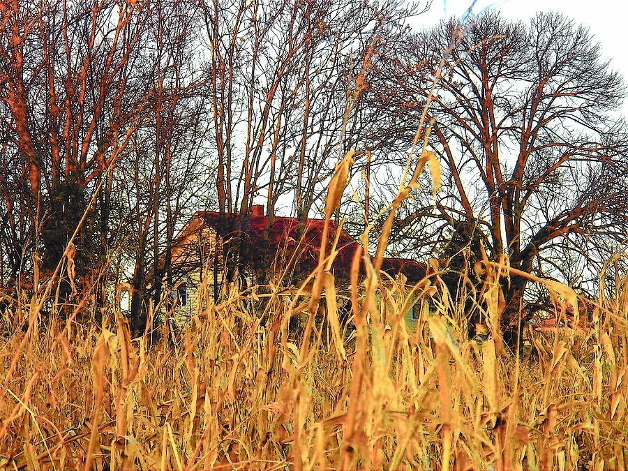 November Corn Photograph by Joyce Kimble Smith