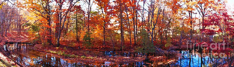 November Foliage  Painting by Rita Brown