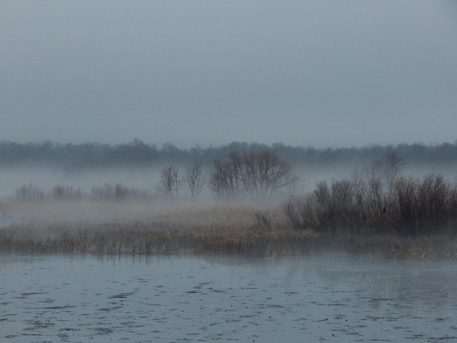 November Mist Photograph by Wild Thing