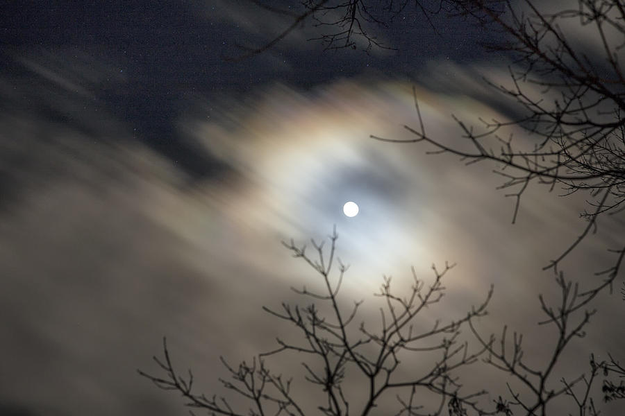 November Moon Photograph by Tom Singleton