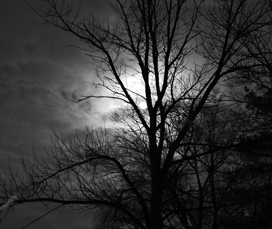 Winter Photograph - November Moon by Valentino Visentini