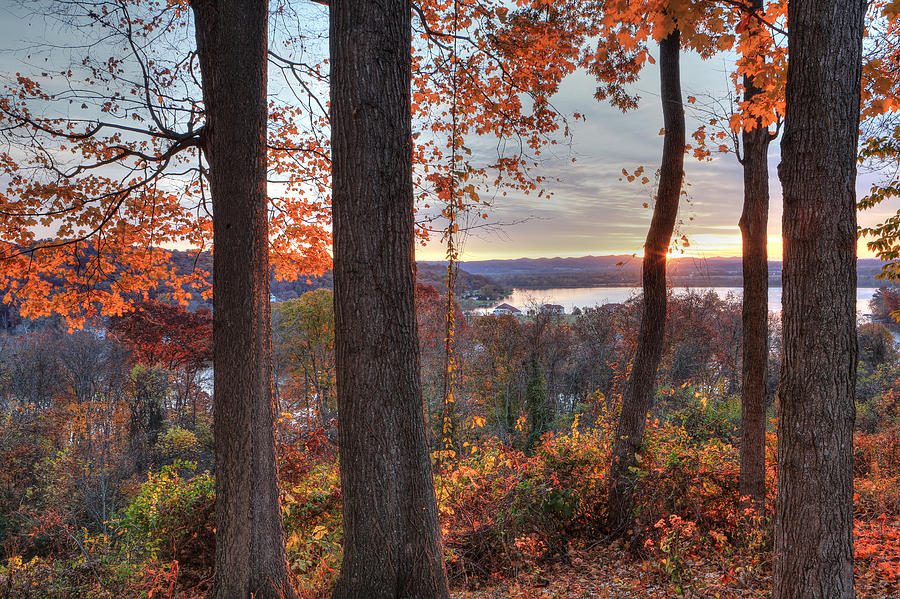 November Morning at the Lake Photograph by Jaki Miller