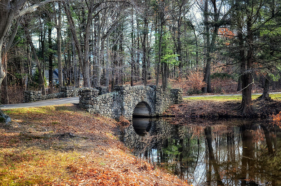 November Reflections Photograph by Tricia Marchlik