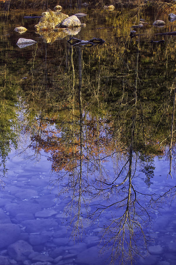 November River Reflection Photograph by Michael Dougherty