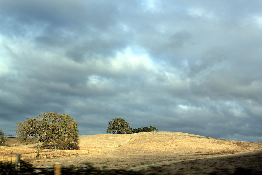 November Sky and Oak Trees Photograph by Ron McMath - Fine Art America