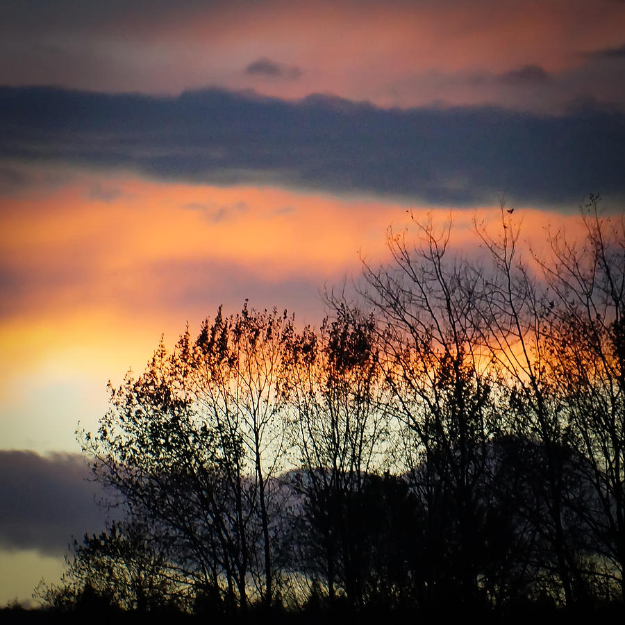 November Sky II Photograph by Ronda Broatch