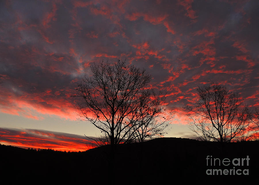 November Sunrise Photograph by Mim White