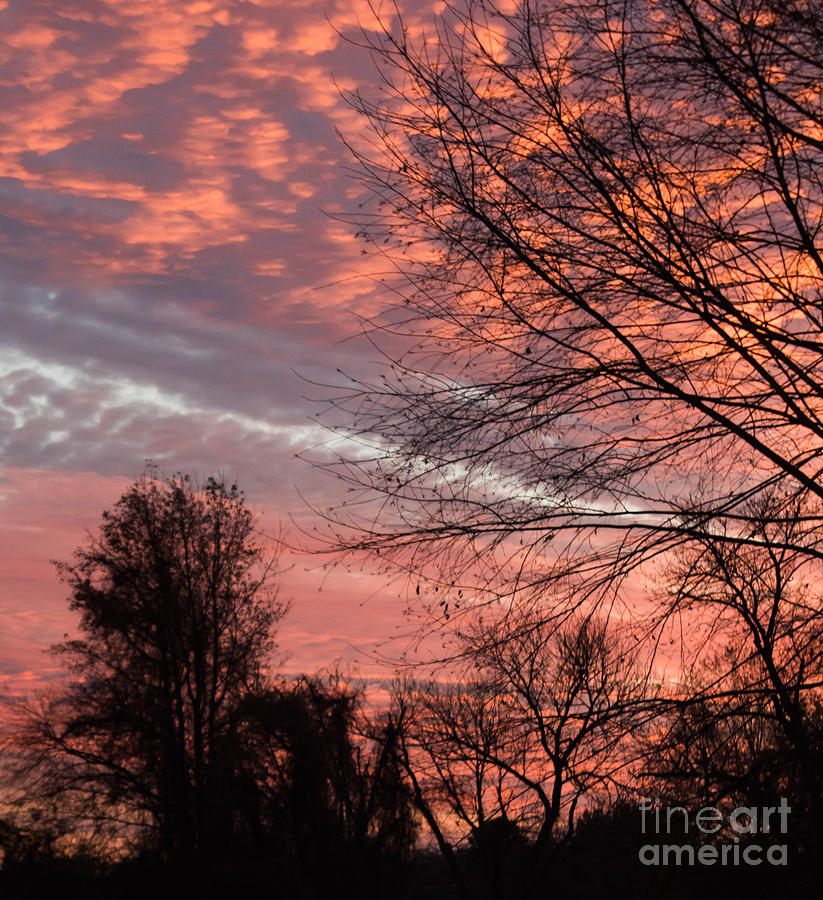November Sunset Photograph by Arlene Carmel