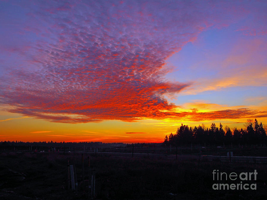November Sunset Photograph by Jacklyn Duryea Fraizer