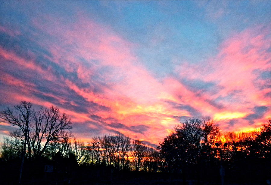November Sunset by Jan Law November Sunset by Jan Law
