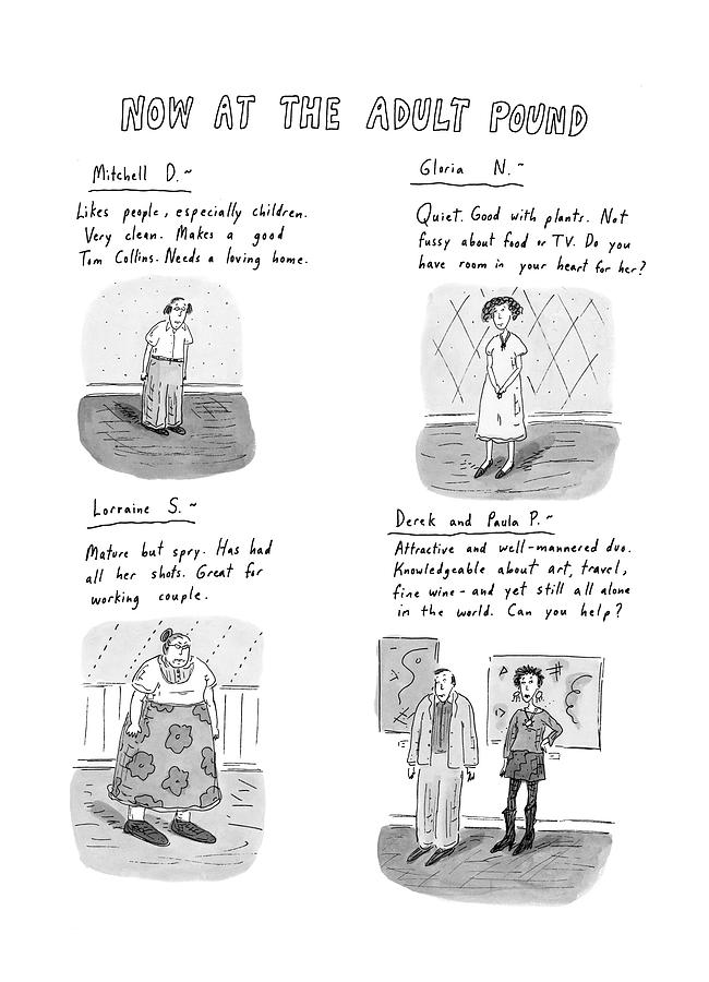 Now At The Adult Pound Drawing by Roz Chast