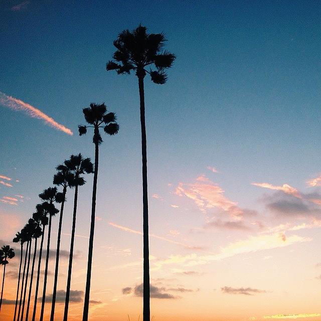 Now Im In La And Its Paradise Photograph by Isabel Riley
