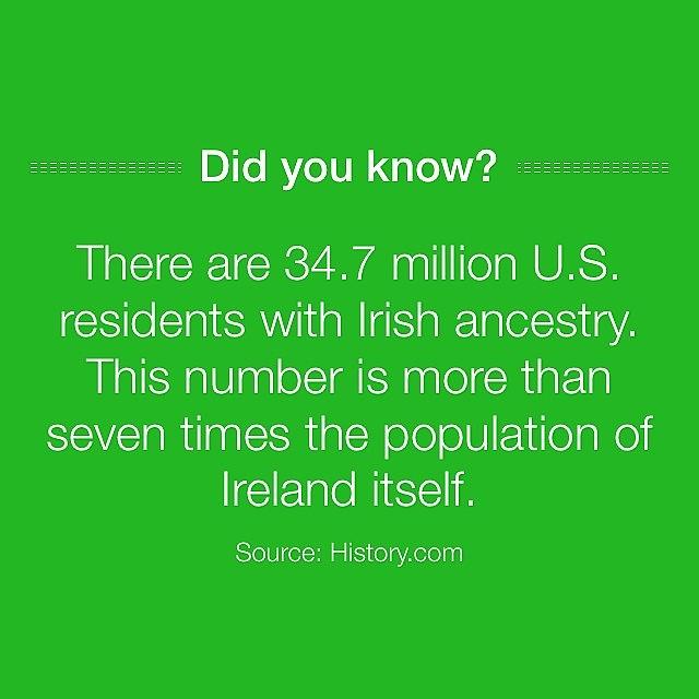 Now You Know!  Happy St  Pats Day Photograph by Sean Boyd