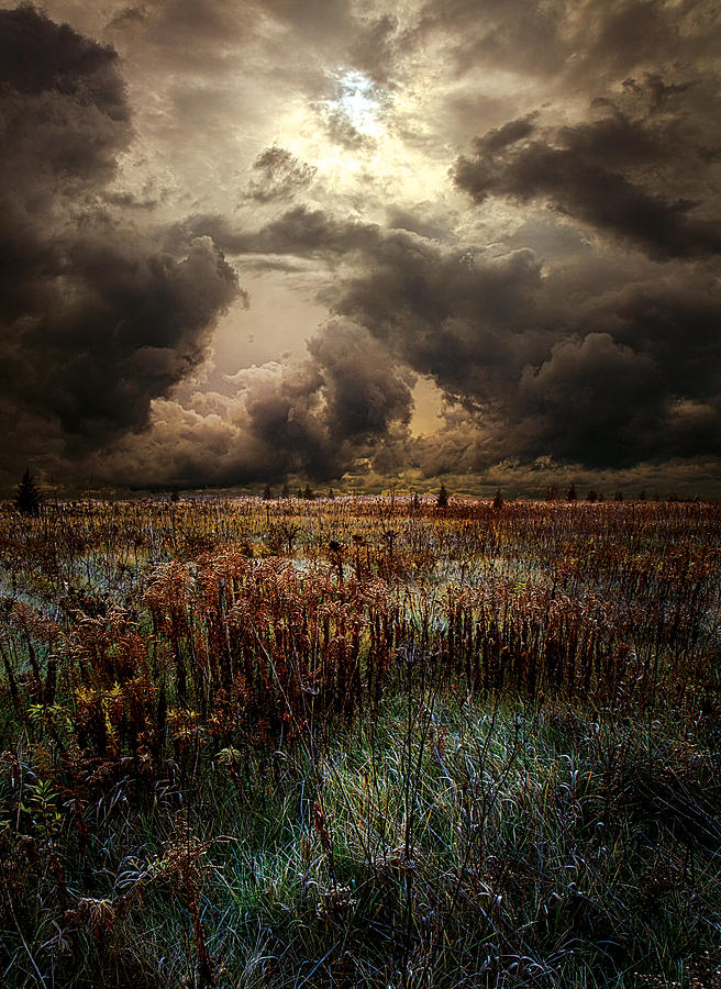 Nowhere Land Photograph by Phil Koch