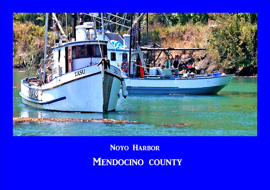 Noyo Harbor Photograph by Joseph Coulombe