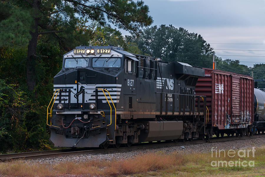 NS 8127 Train Photograph by Dale Powell