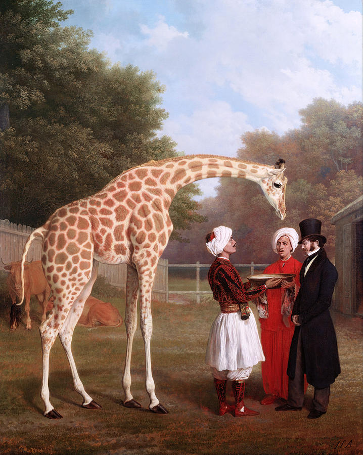 Jacques Laurent Agasse Painting - Nubian Giraffe by Jacques-Laurent Agasse