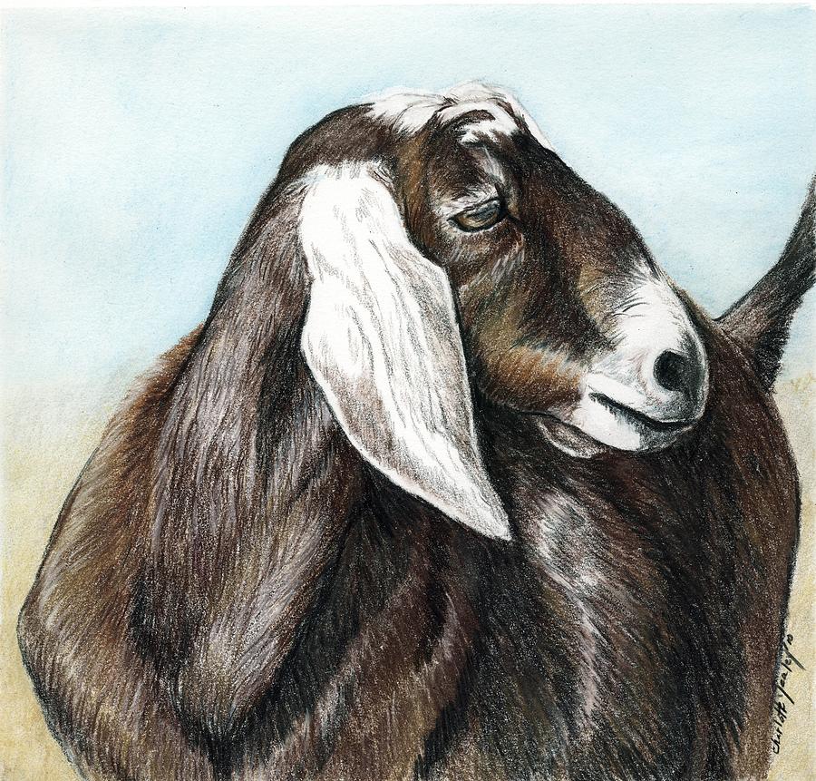 Nubian Goat Painting by Charlotte Yealey