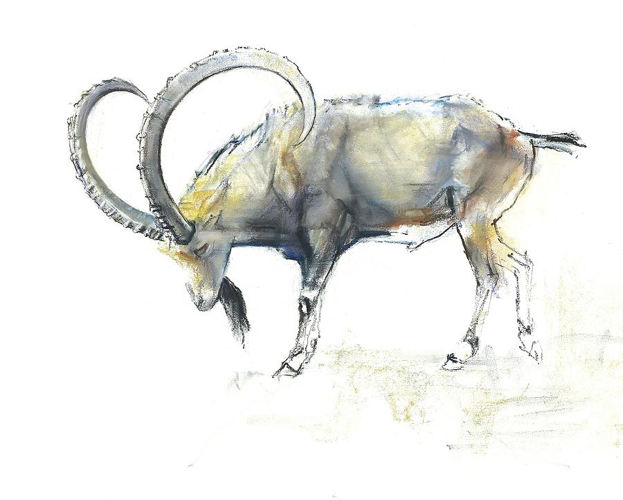 Nubian Ibex Painting by Mark Adlington