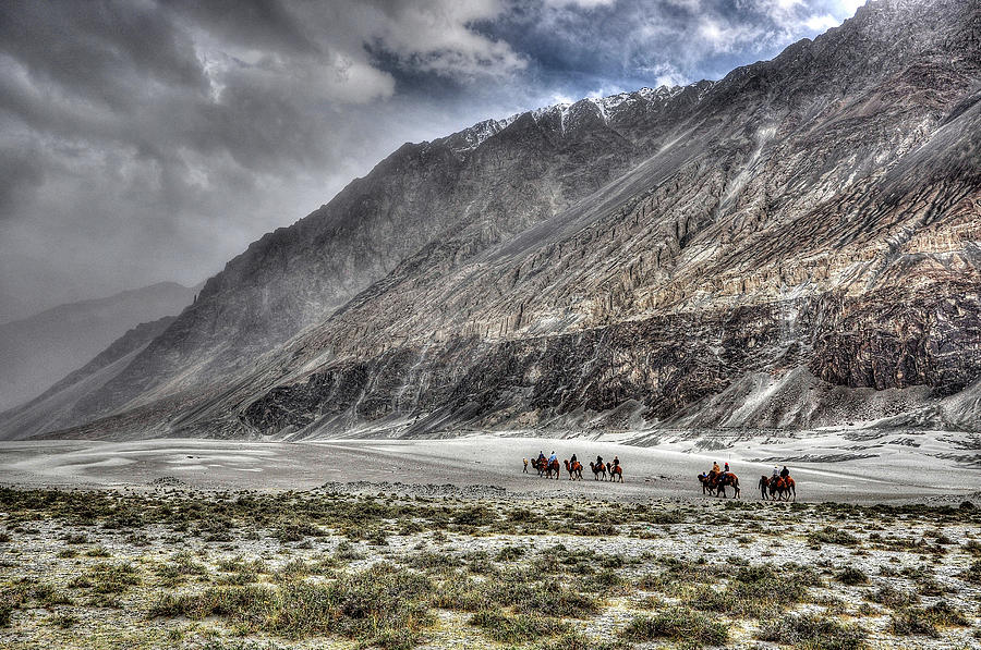 Nubra Valley, Ladakh, India Photograph by Jayk7