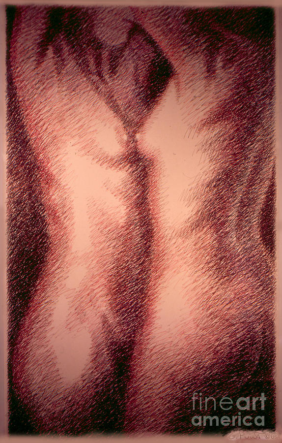 Nude Female Torso Drawings 1 Drawing by Gordon Punt