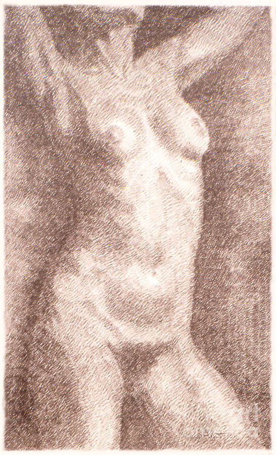 Nude Female Torso Drawings 2  Drawing by Gordon Punt