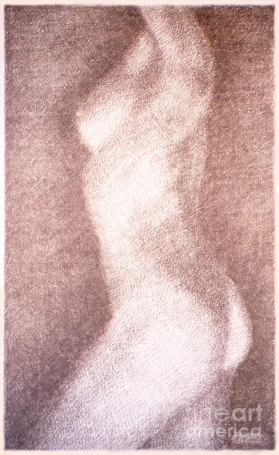 Nude Female Torso Drawings 3 Drawing by Gordon Punt