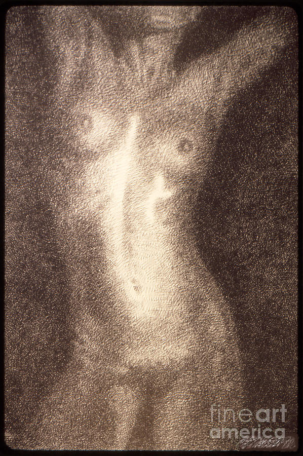 Nude Female Torso Drawings 5 Drawing by Gordon Punt