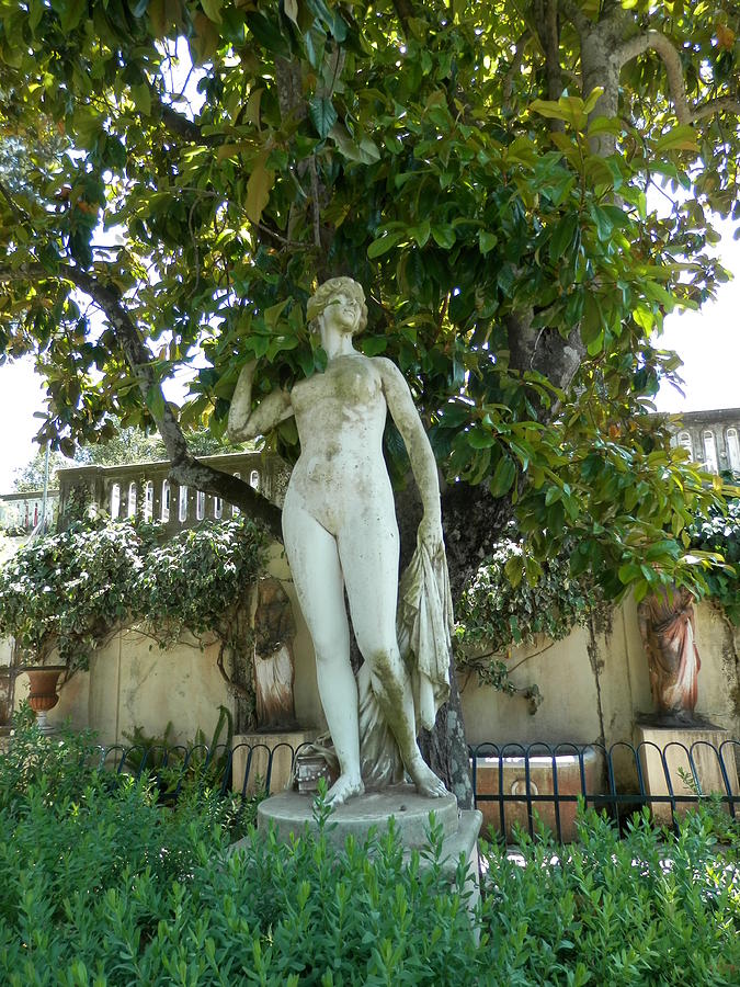 Nude Statute Photograph by Pema Hou