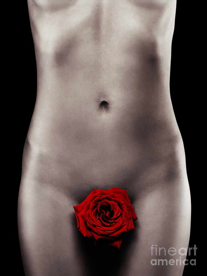 Abstract Photograph - Nude Woman Body with a Red Rose by Maxim Images Exquisite Prints