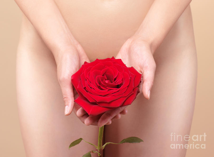 Nude Woman Holding Red Rose Photograph by Maxim Images Exquisite Prints