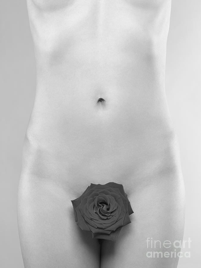 Nude Woman with a Rose Black and white Photograph by Maxim Images Exquisite Prints