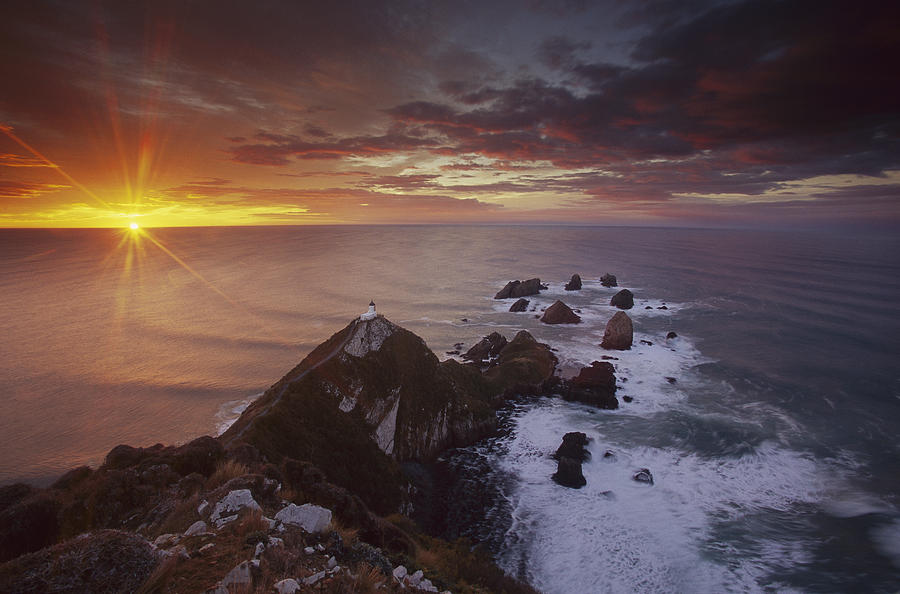Nugget Point Lighthouse At Sunrise Photograph by Colin Monteath