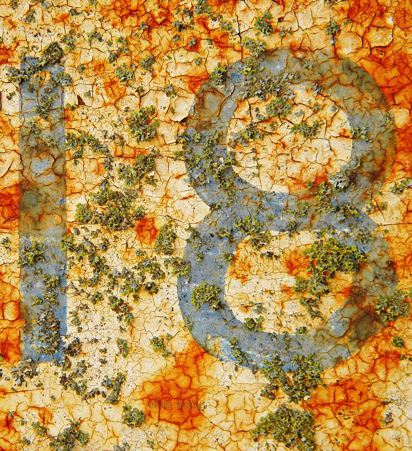 Number 18 with Lichens Photograph by Chris Berry
