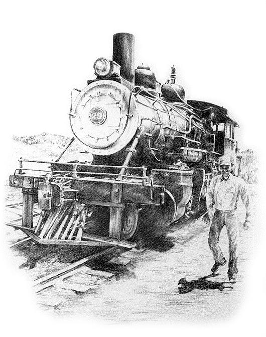Train Drawing - Number Twenty Nine by Jonni Hill