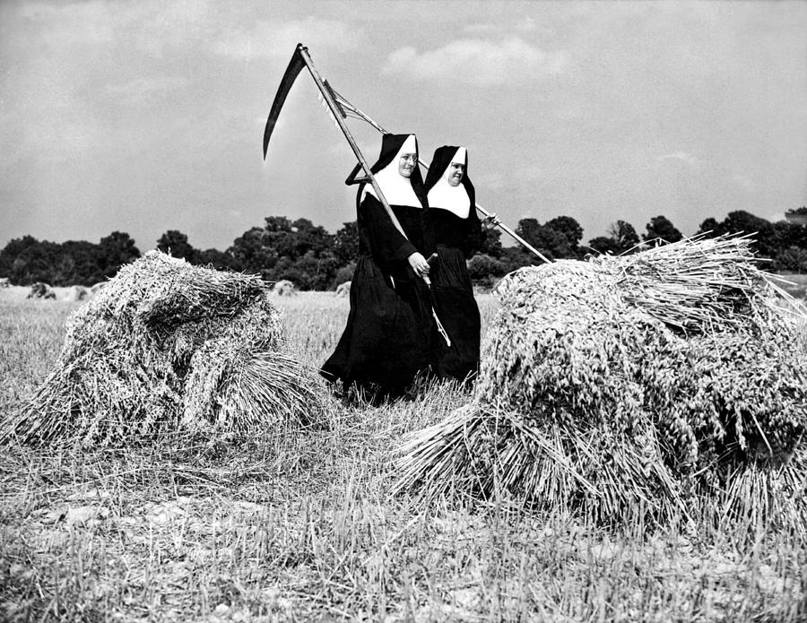 Nuns Harvest Oats In Fields Photograph by Underwood Archives