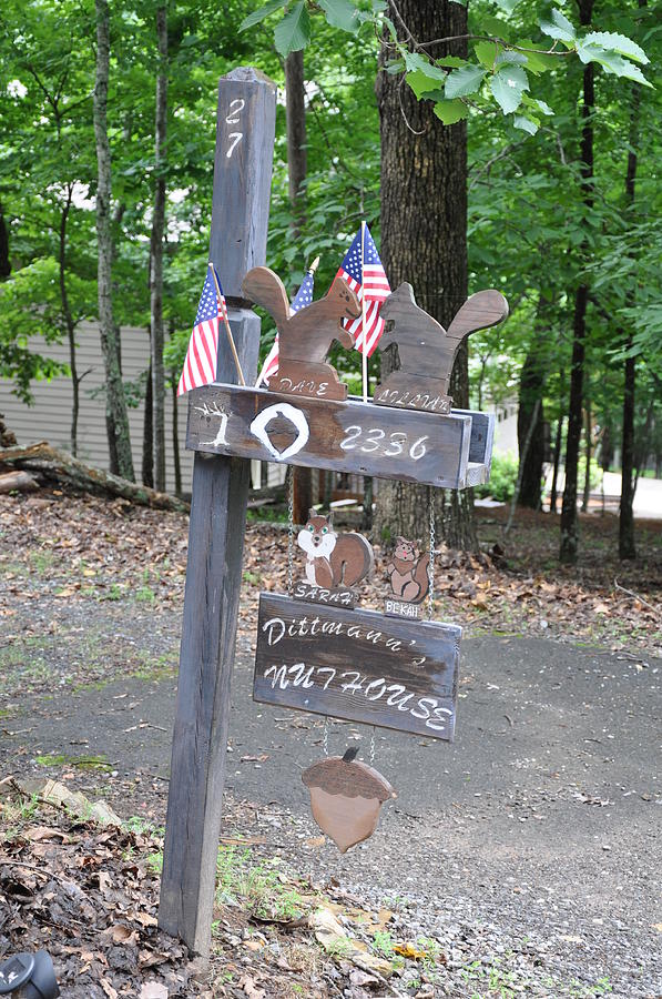 Nut House Photograph by David Dittmann Pixels