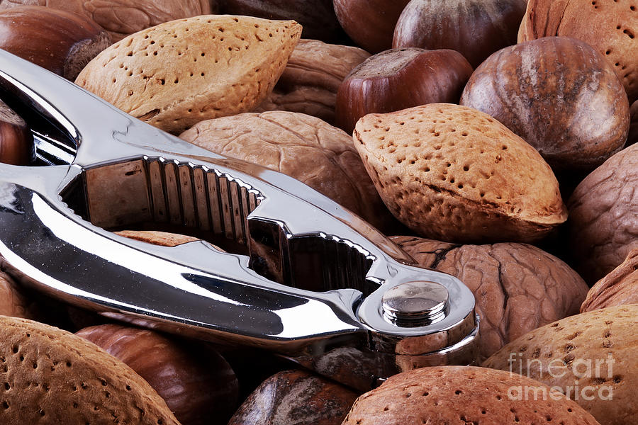 Nutcracker and whole nuts Photograph by Simon Bratt
