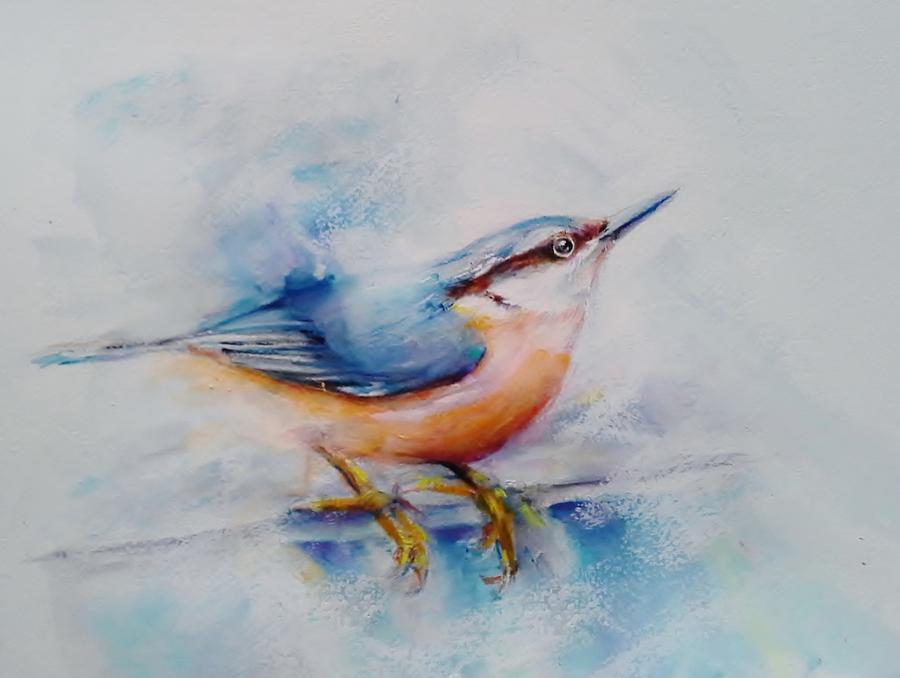 Nuthatch  Painting by Jean Cormier