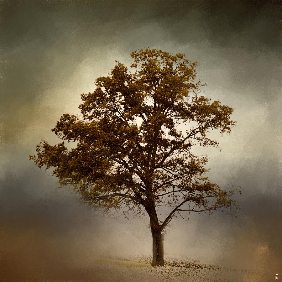 Nutmeg Cotton Field Tree Landscape Photograph by Jai Johnson