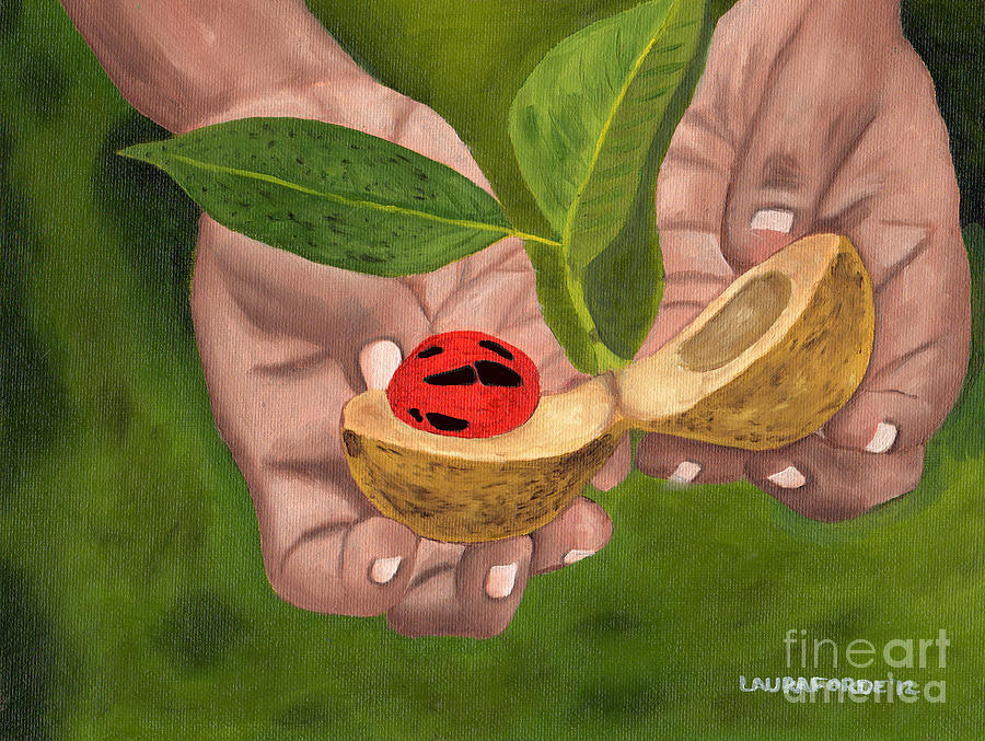 Nutmeg in Hand Painting by Laura Forde