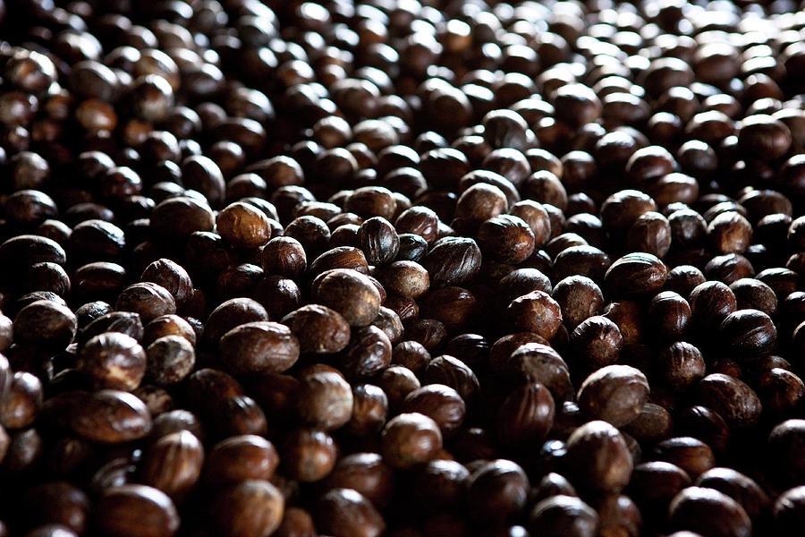 Nutmeg Seeds, Grenada, Caribbean Photograph by Panoramic Images