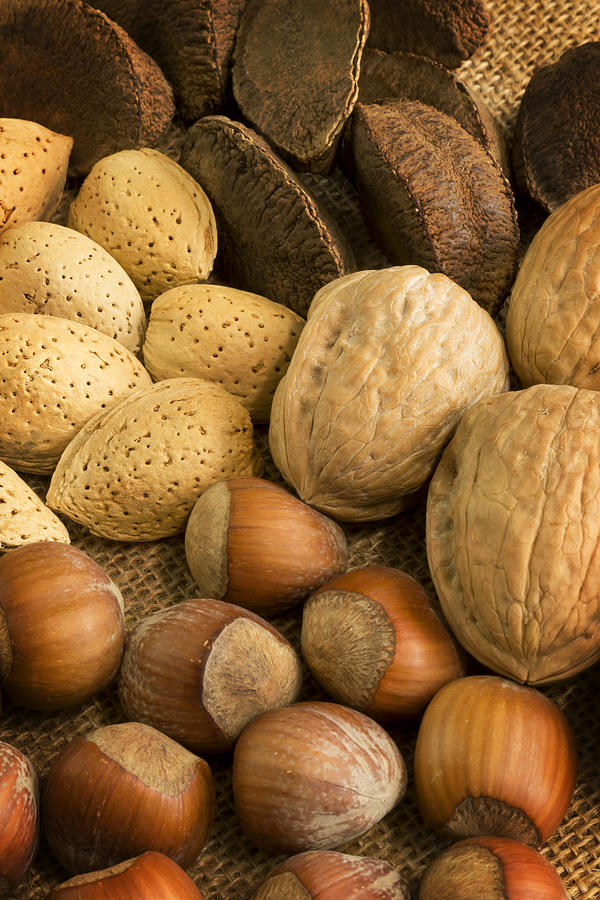 Nuts On Burlap Photograph