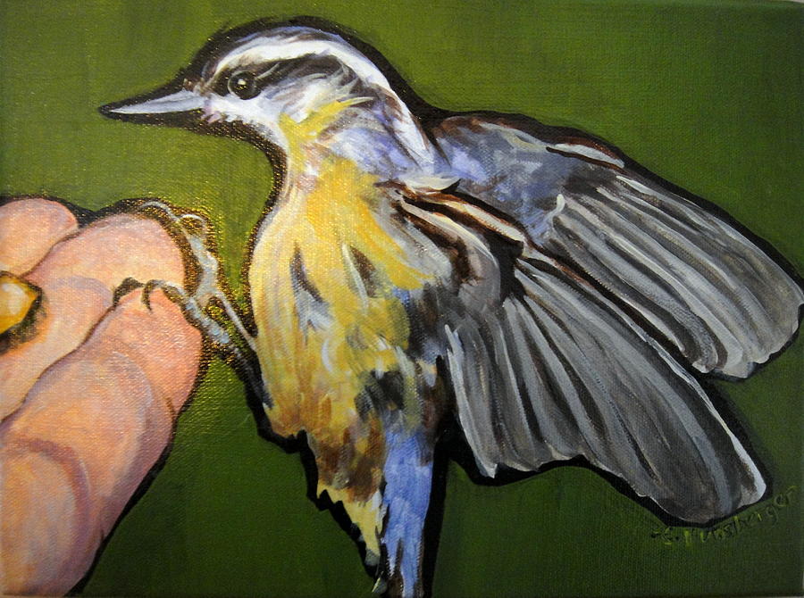 Nutty Nuthatch Painting by Edith Hunsberger