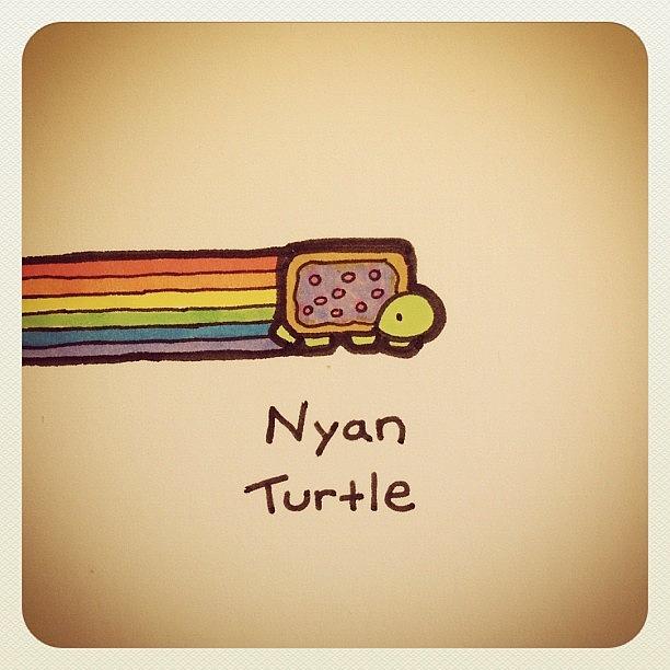 Cute Photograph - Nyan Turtle #turtleadayjuly by Turtle Wayne