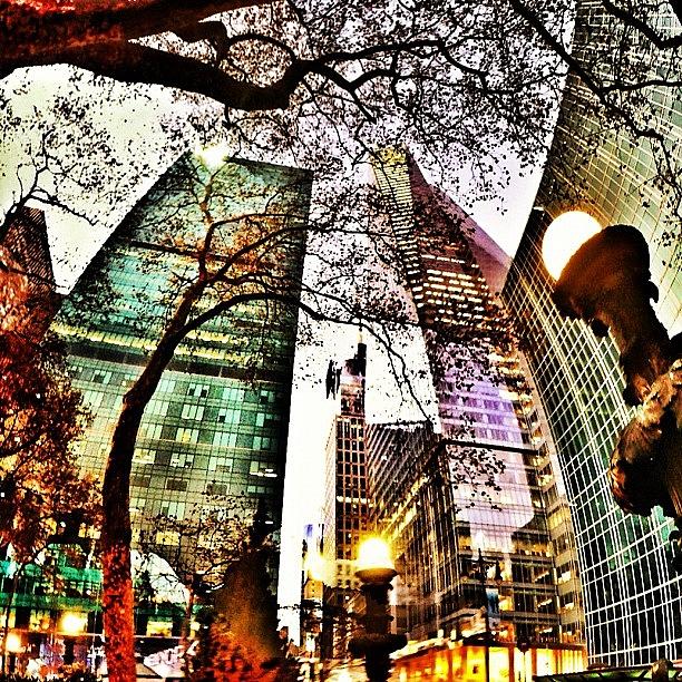 Tree Photograph - #nyc #42ndst #bryantpark #lights #trees by Matthew Tarro